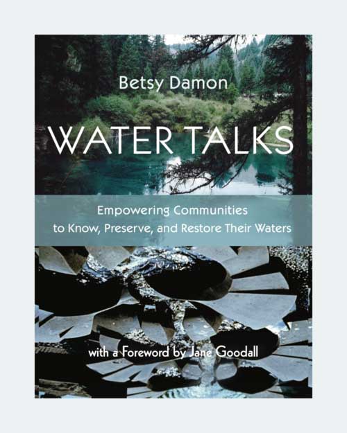 Water-Talks-Book-by-Betsy-Damon