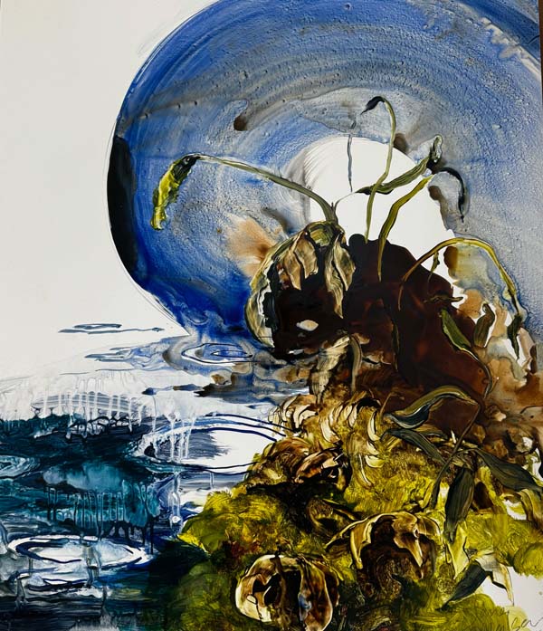 Ilana Manolson Vernal-Pond